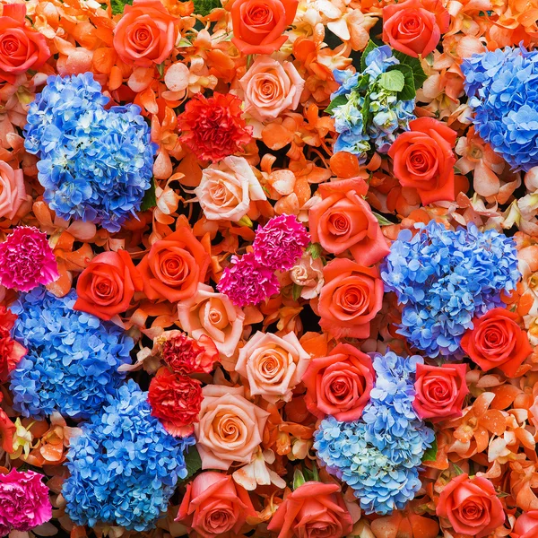 Latar belakang abstrak bunga. Close-up — Stok Foto