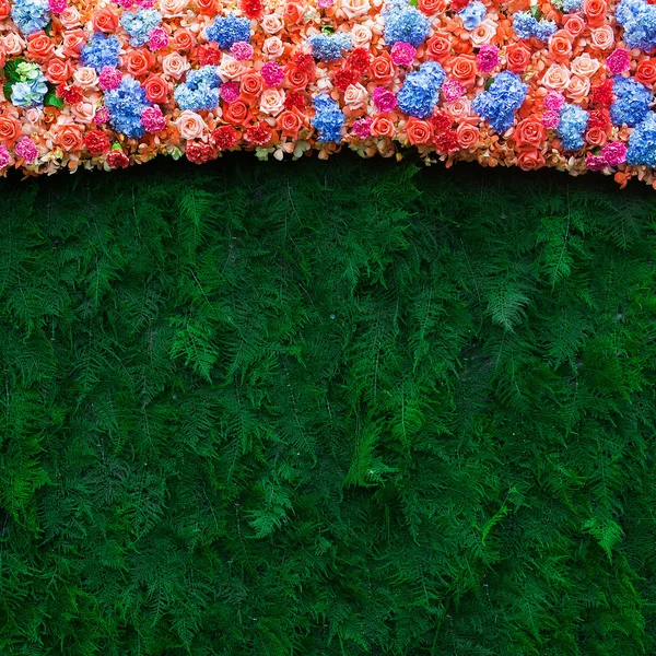 Düğün sahnesi için güzel çiçek arkaplanı — Stok fotoğraf