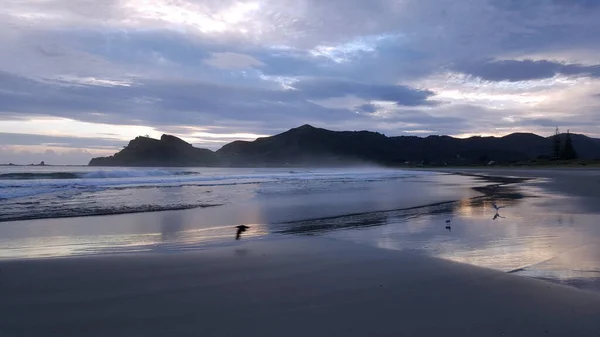 Vista Una Playa Atardecer Nueva Zelanda — Foto de Stock