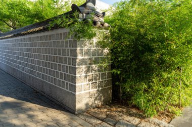 Klasik çatısı ve yeşil ağacı olan geleneksel Kore duvarı.