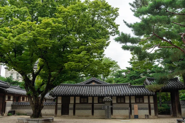 Palacio Viejo Unhyeongung Ciudad Seúl Con Árbol — Foto de Stock