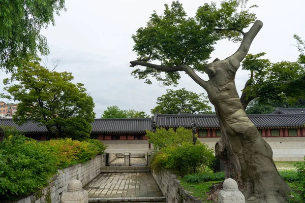 Jardín Del Palacio Changedeokgung Seúl — Foto de Stock