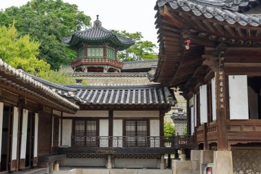 Seul 'deki Changdeokgung Sarayı' nın bahçesi.