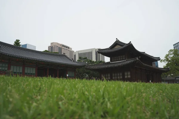 Κήπος Του Παλατιού Deoksugung Στη Σεούλ — Φωτογραφία Αρχείου