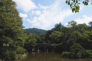 Gyeongju 'daki Bulguksa tapınağının yakınına park et.