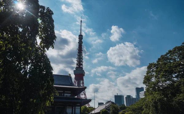 増上寺から日本の東京タワー — ストック写真