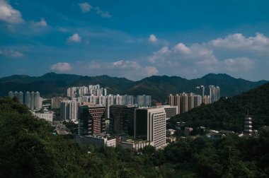 Hong Kong manzarası Bin Manastır