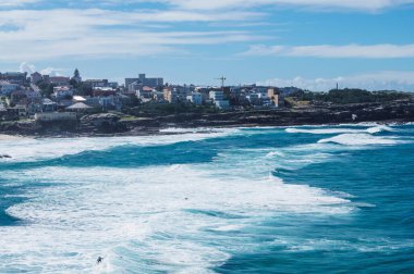 Bondi 'den Bronte Coastal Walk' a. Sydney 'deki Okyanus Pasifik manzarası.