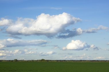 bulutlu gökyüzü ve yeşil çayır çimen