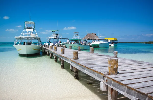 Sea boats at the Contoy island in the Caribbean sea — Stock Photo, Image