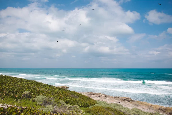 Eastern coast of the Isla Contoy in Mexico — Stock Photo, Image