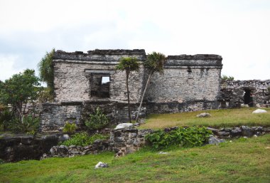 Güzel Maya harabelerini Tulum, Meksika için