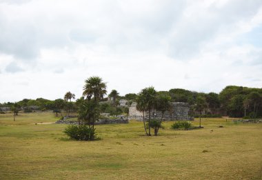 Güzel Maya harabelerini Tulum Meksika için
