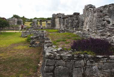 Güzel Maya harabelerini Tulum, Meksika için