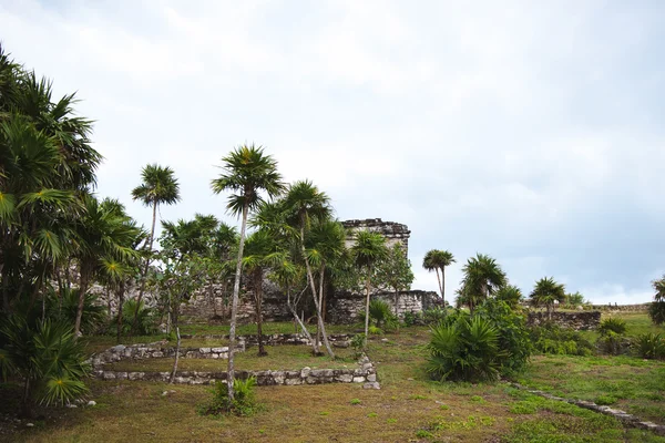 Güzel Maya harabelerini Tulum Meksika için — Stok fotoğraf