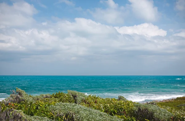 Eastern coast of the Isla Contoy in Mexico — Stock Photo, Image