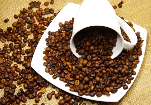 Cup, saucer and coffee beans — Stock Photo, Image