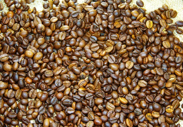 향기로운 커피 콩 — 스톡 사진
