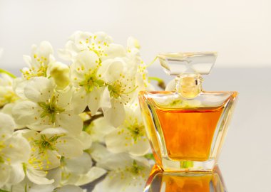 -bir şişe parfüm ve kiraz Şubesi