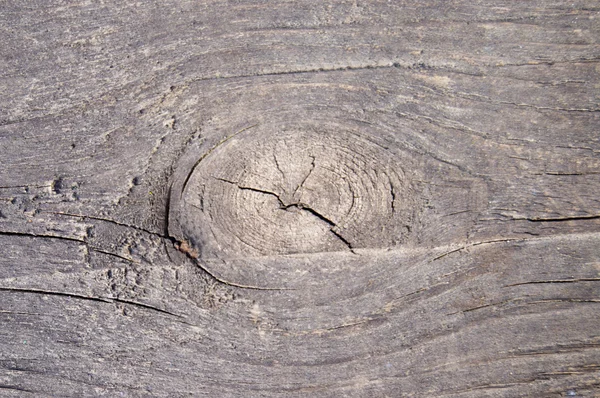 Pattern on trunk sawn wood — Stock Photo, Image