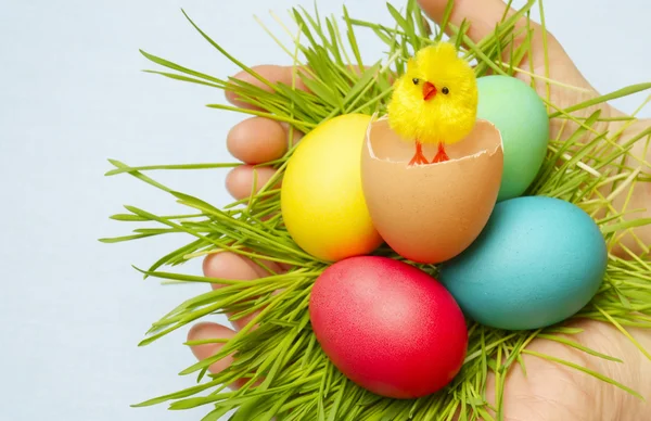 Wielkanocne jaja ptasie gniazdo — Zdjęcie stockowe