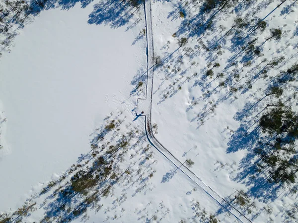 Aerial view to hiking trail in winter bog and forest snow covered in Estonia