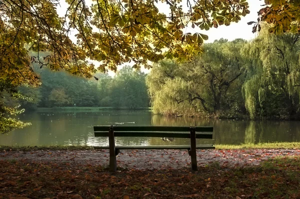 sonbahar parkta kenarına