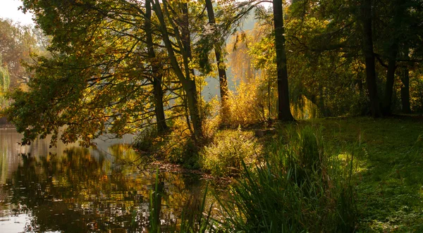 Rand van het park in het najaar — Stockfoto