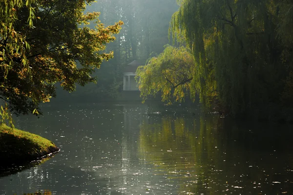 Edge of the park in autumn — Stock Photo, Image