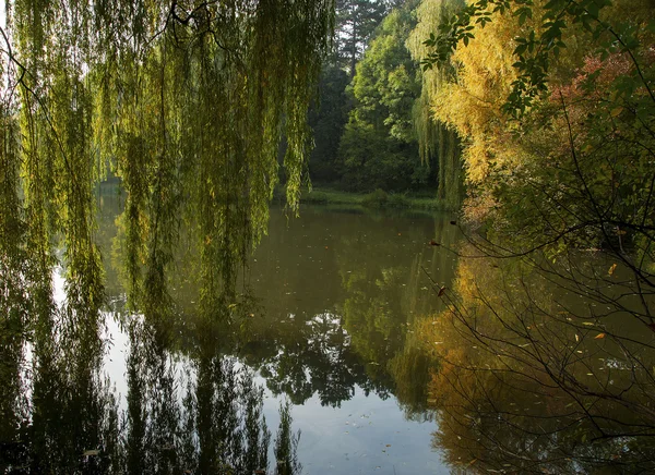 ParkfreiheitsUfer lizenzfreie Stockbilder