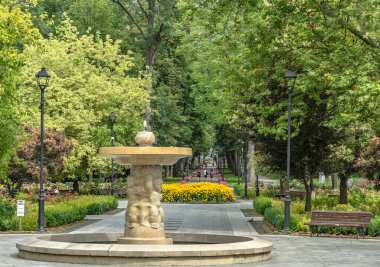 Busko-Zdrj 'deki spa parkı sadece dinlenme ve dinlenme değil, aynı zamanda zengin bir tarih ve turistik eğlence de sunan pitoresk bir sağlık alanıdır.