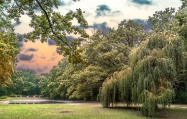 Sonbahar, Eylül 'den Kasım' a kadar kuzey yarımkürede devam eden renklerle, duygularla ve doğa değişiklikleriyle dolu bir mevsimdir..