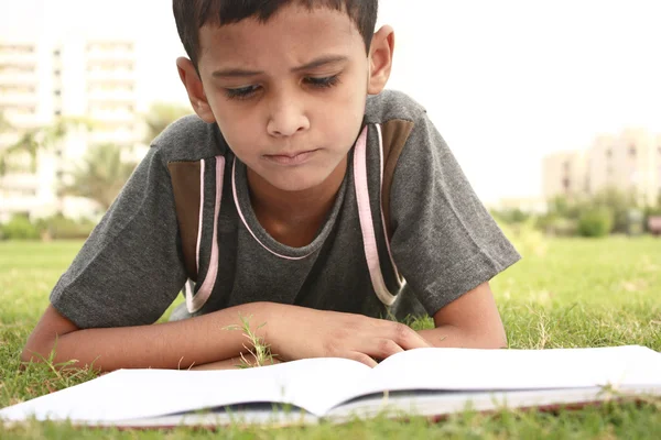 Studiare — Foto Stock