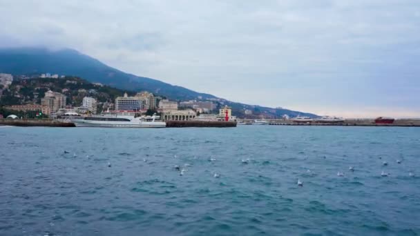 Muchas gaviotas nadan en el mar contra el telón de fondo de una ciudad de montaña — Vídeos de Stock