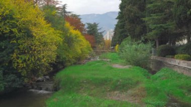 Yalta şehrinin nehir kanalı. Suyun üzerinde sallanan ağaçlar.