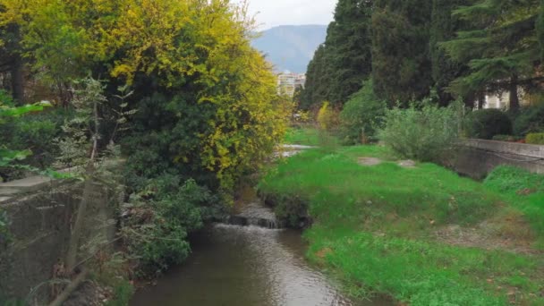 River channel of the city of Yalta. trees hanging over the water. — Stock Video