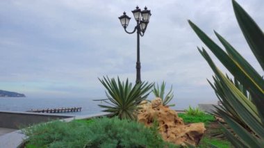 Yalta 'da denizin arka planında bitkilerle dolu güzel bir set.