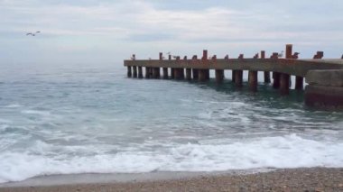 Yalta martıları eski iskelede kanatlarını temizliyor ve dinleniyorlar. Karadeniz