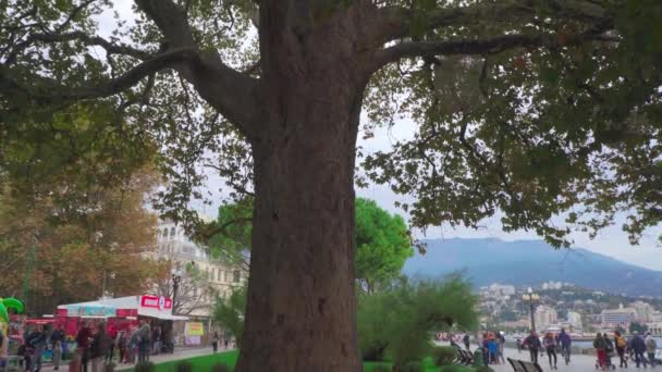 YALTA, RUSSIA - NOVEMBER 18, 2020: Park by the sea with green trees — Stock Video