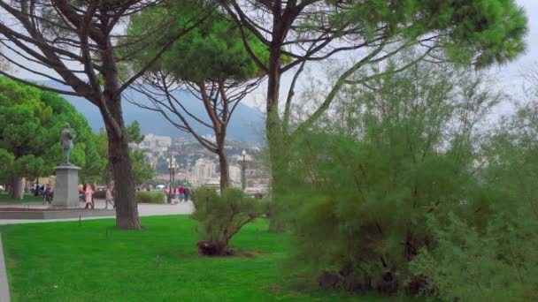 YALTA, RÚSSIA - NOVEMBRO 18, 2020: Árvores verdes no fundo de um parque — Vídeo de Stock