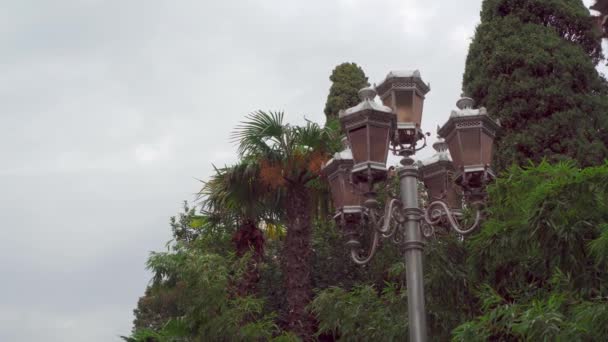Городской фонарь в парке на фоне деревьев и облачного неба — стоковое видео