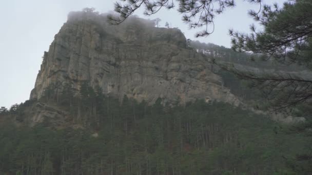 Una roccia nella nebbia con alberi relitti in piedi su di esso in autunno — Video Stock