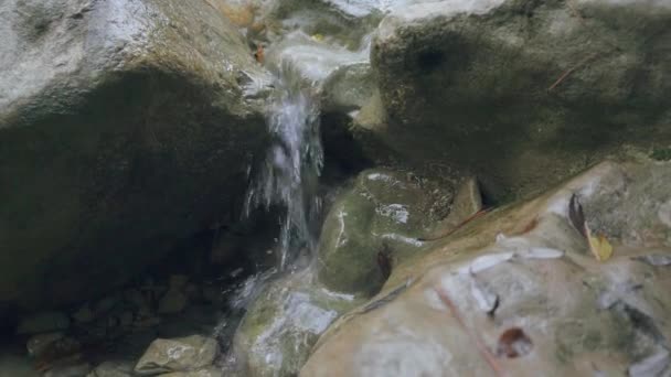 Corriente de montaña con agua clara que fluye a través de piedras en otoño naturaleza d — Vídeo de stock