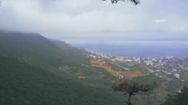 Karadeniz kıyısındaki şehrin panoraması. Yukarıdan görüntüle