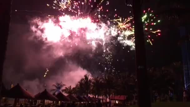Delikatny wybuch fajerwerków na nocnym niebie — Wideo stockowe