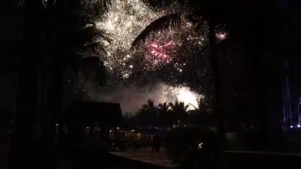 Feux d'artifice de nuit en Chine — Video