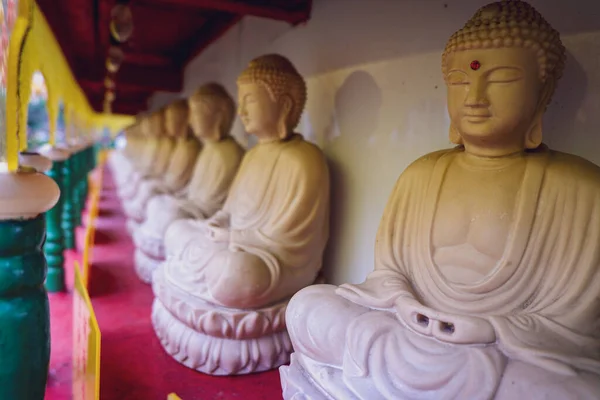 Набор Статуи Будды — стоковое фото