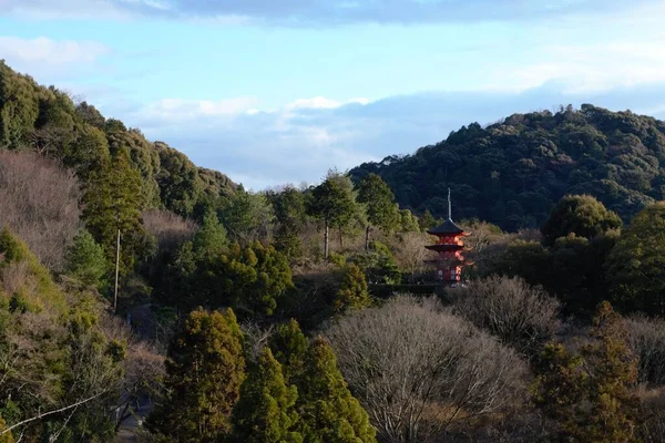 森の真ん中にあるオレンジ寺 — ストック写真