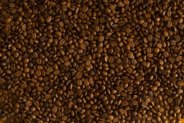 Coffee Beans Background Medium Roasted — Stock Photo, Image