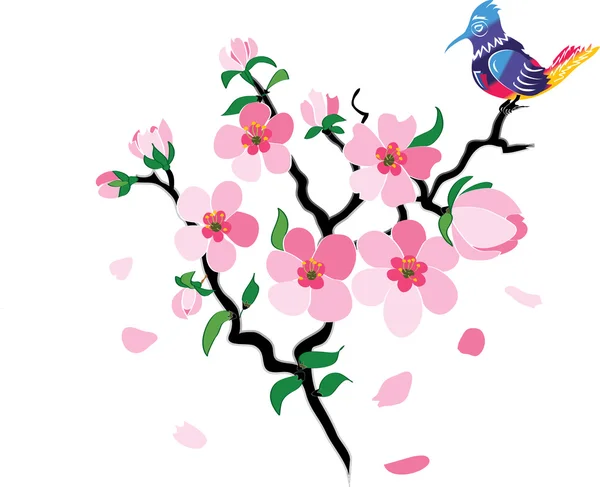 Sakura florece — Archivo Imágenes Vectoriales